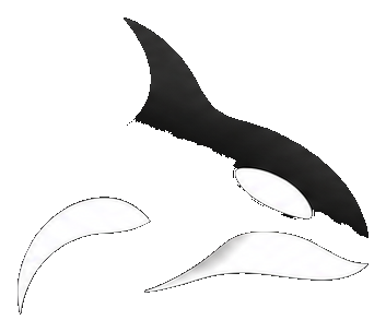 Orca